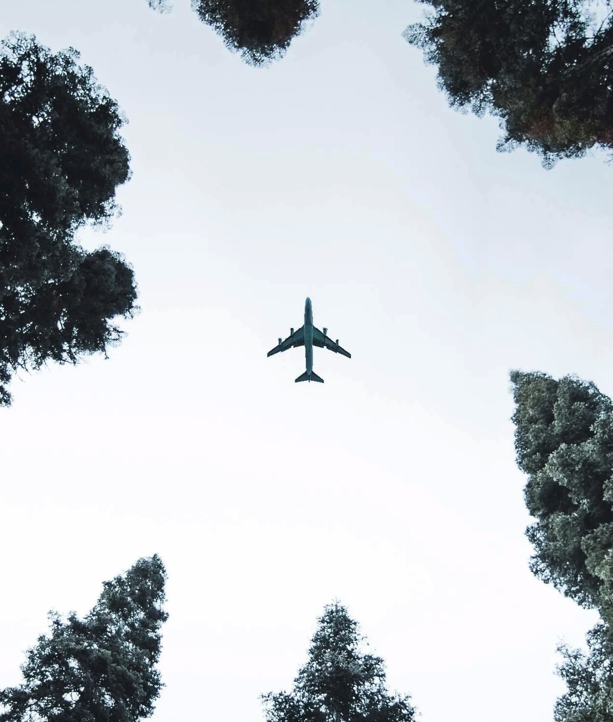 aeroplane overhead
