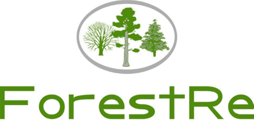ForestRe logo
