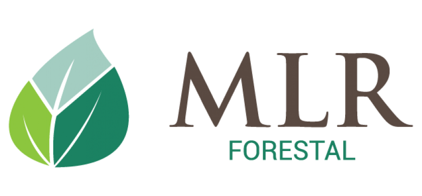 MLR Forestal logo