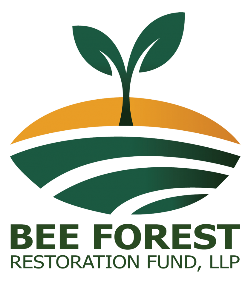 Bee forest restoration fund logo