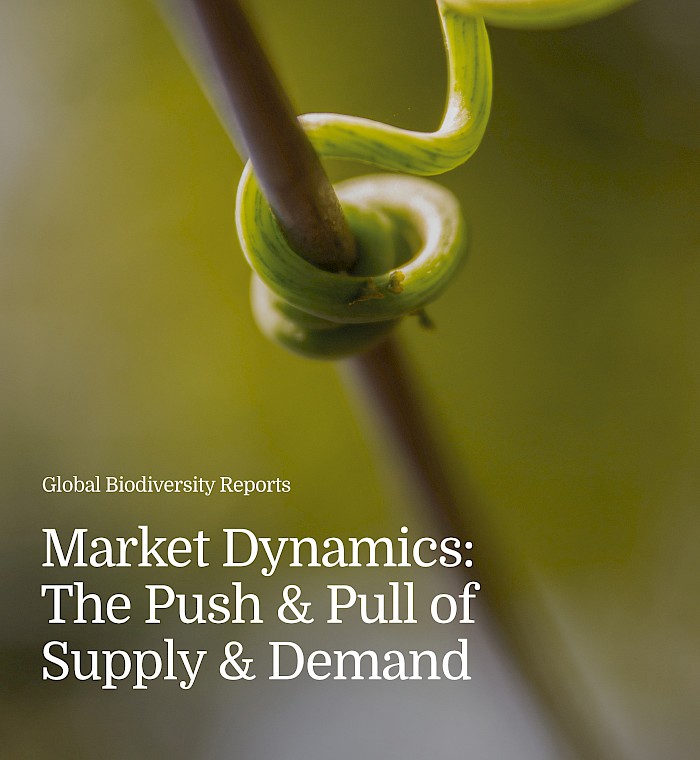 Foundational Market Insight (2025 Snapshot) photo