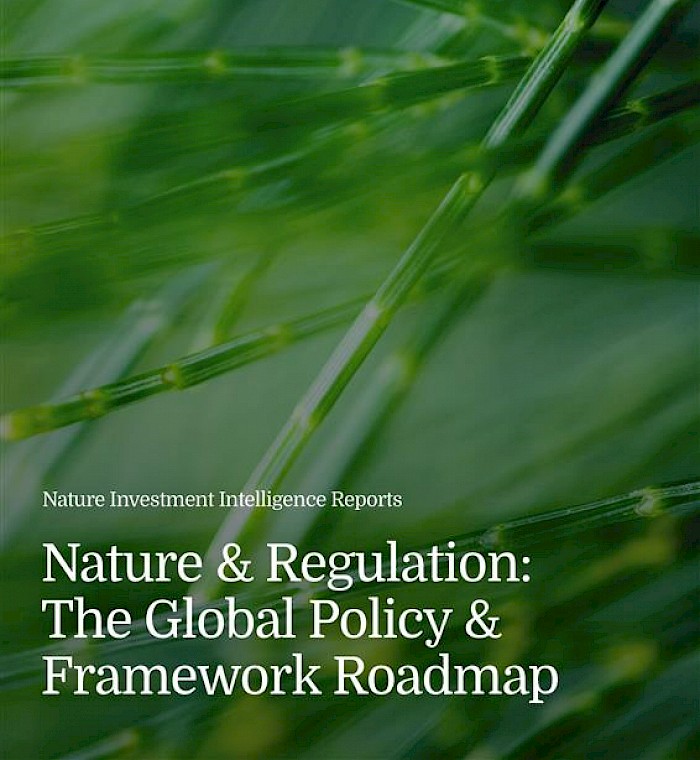 Nature Investment Intelligence Reports: Nature and Regulation photo