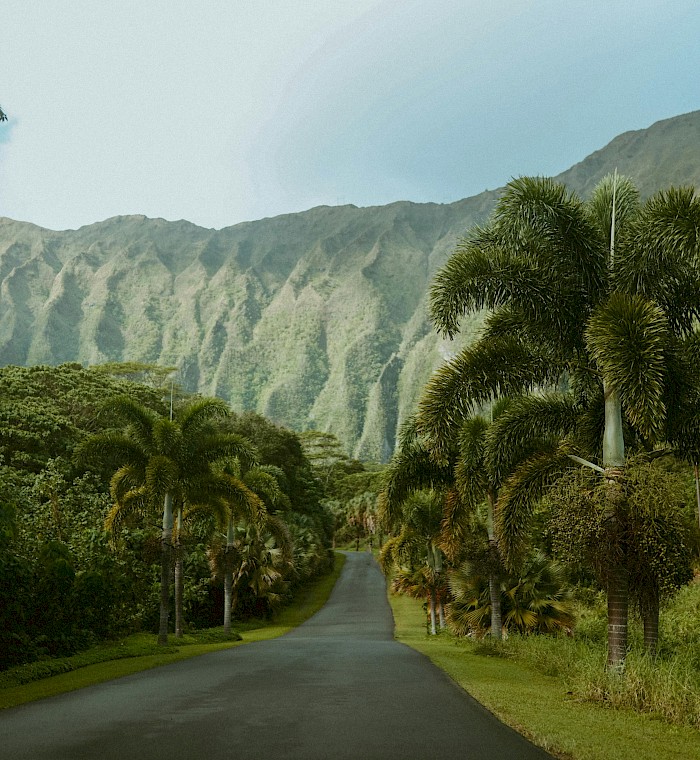 Beyond Standards in Carbon Markets photo