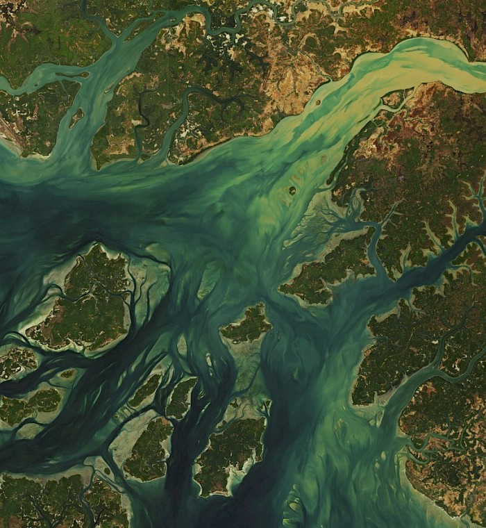 Redefining Certification in Carbon Markets photo